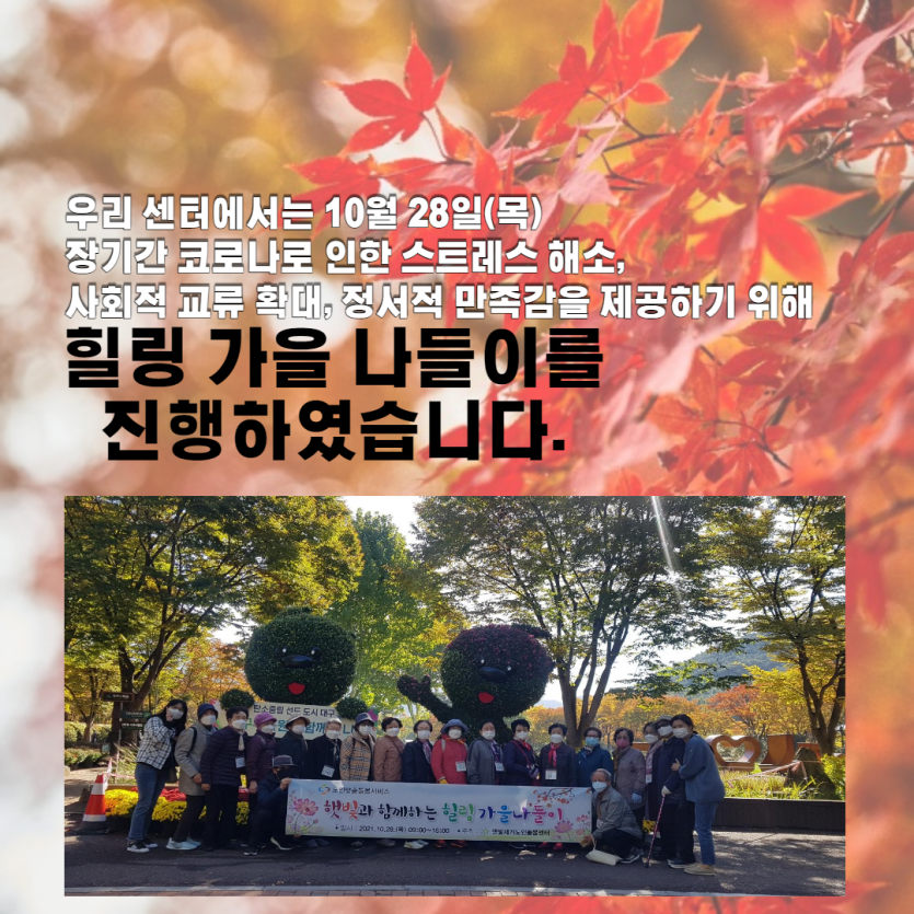 cdcf17f17c9bdef8ca2bdb284be4a6d3_1636441432_4302.png